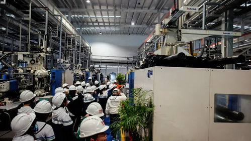 秋假啟航，長虹雙創(chuàng)園打造工業(yè)科技研學(xué)新標桿 信息技術(shù)的深度開發(fā)之旅