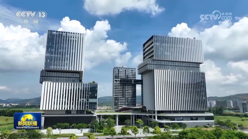 深圳“六個90%”背后 信息技術(shù)創(chuàng)新驅(qū)動新質(zhì)生產(chǎn)力加速形成